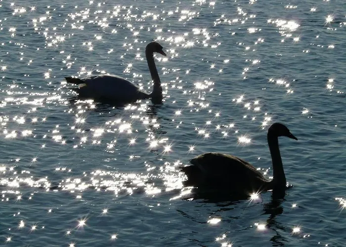 Bodenseepanorama Oberuhldingen Uhldingen-Mühlhofen